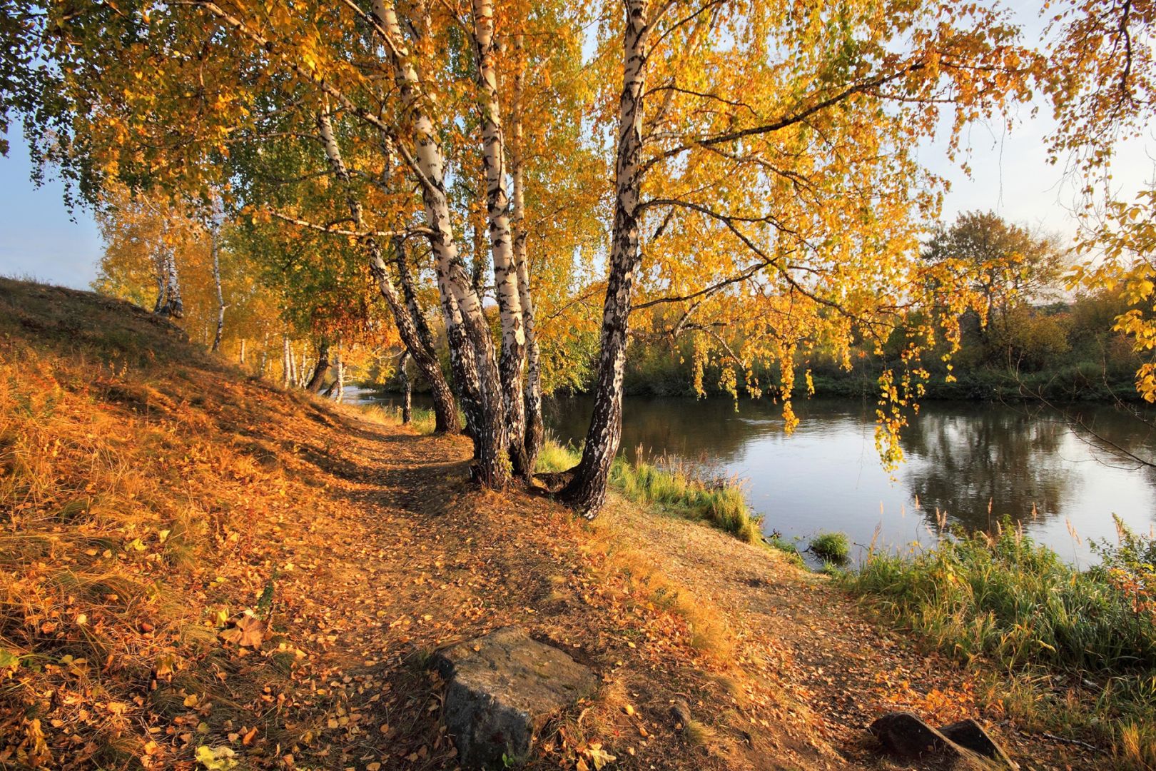 Осенняя пара.